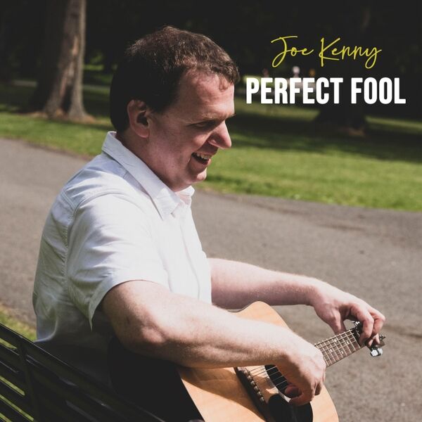 Cover art for Perfect Fool